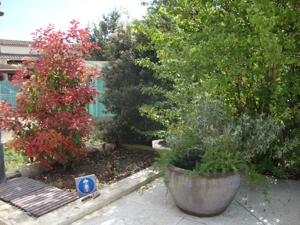 Michele Et Didier Lin Saint-Laurent-d'Aigouze Exterior photo